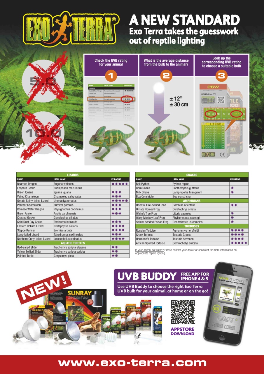 Practical Reptile Keeping Preview Pages