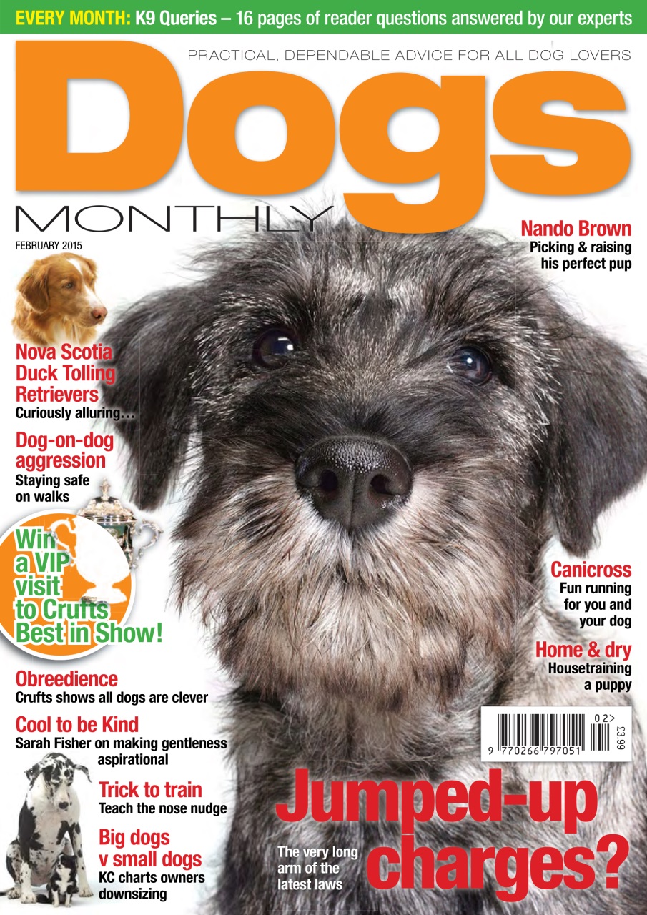 Dogs Monthly Preview Pages