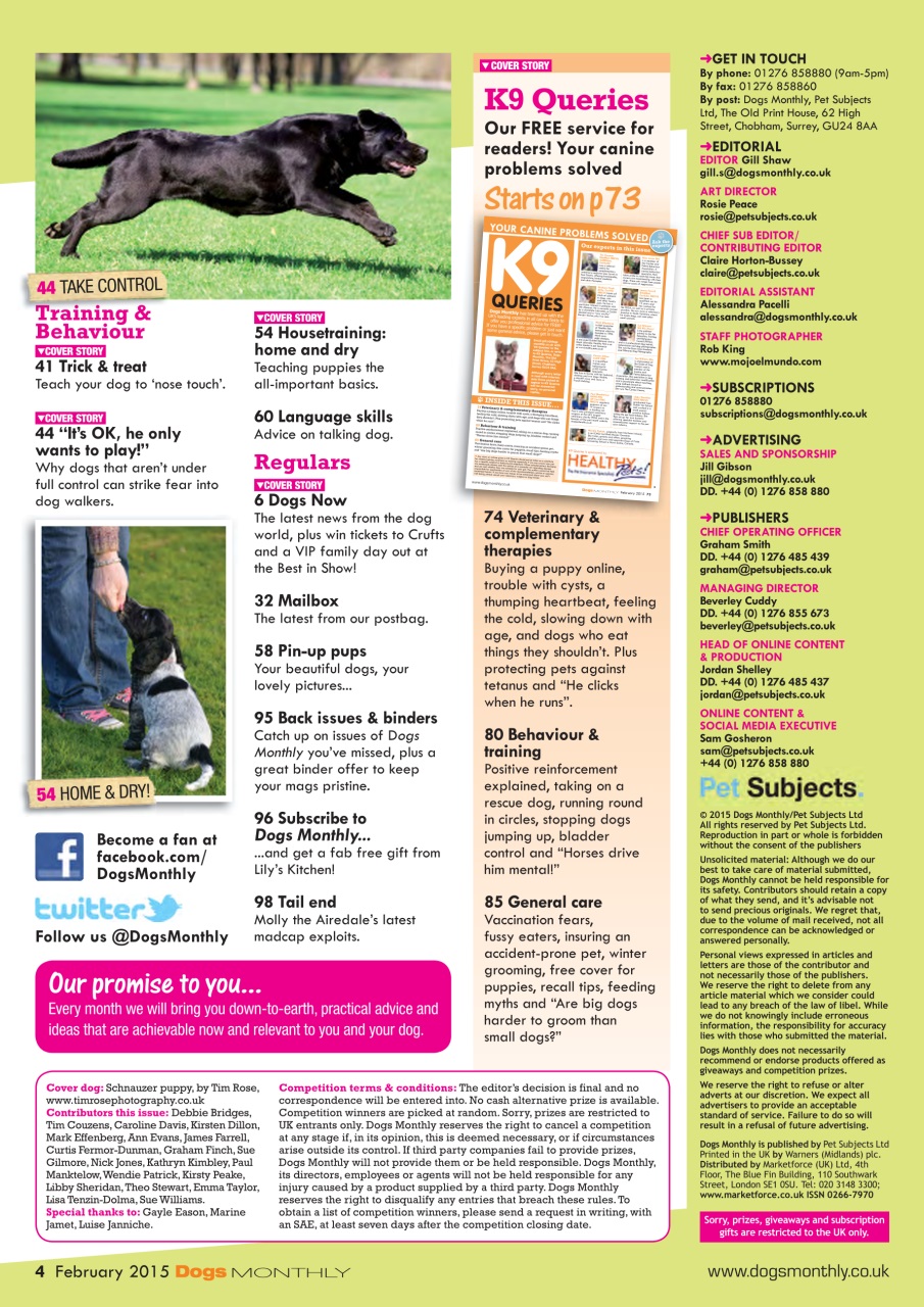 Dogs Monthly Preview Pages