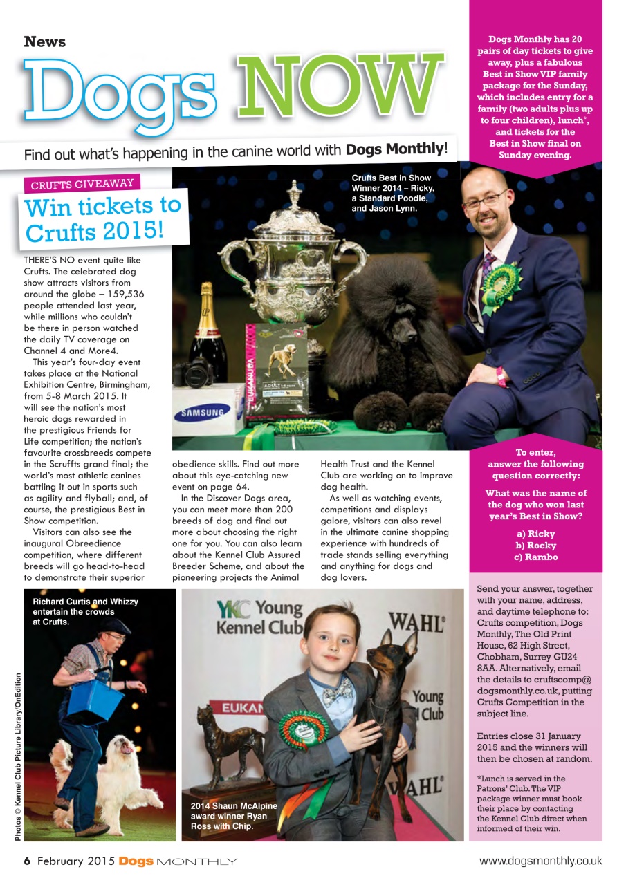 Dogs Monthly Preview Pages