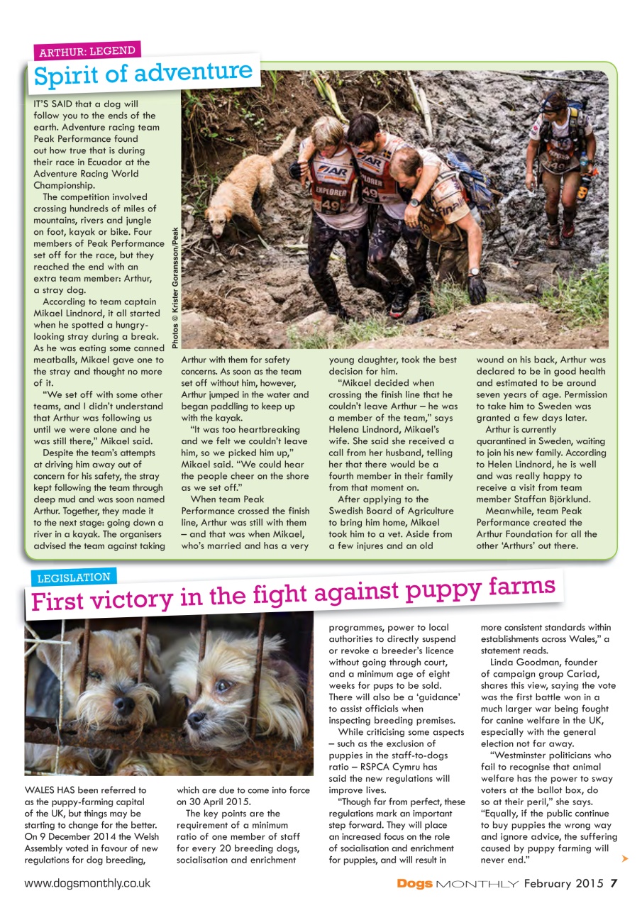 Dogs Monthly Preview Pages