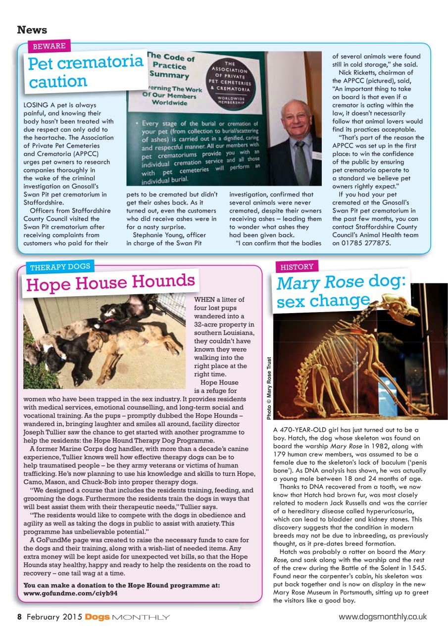 Dogs Monthly Preview Pages