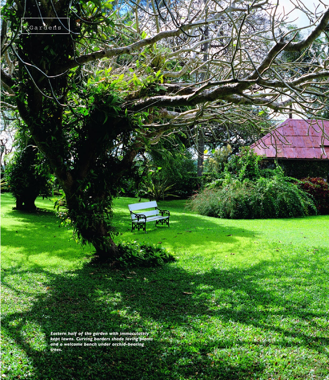 Island Life Preview Pages