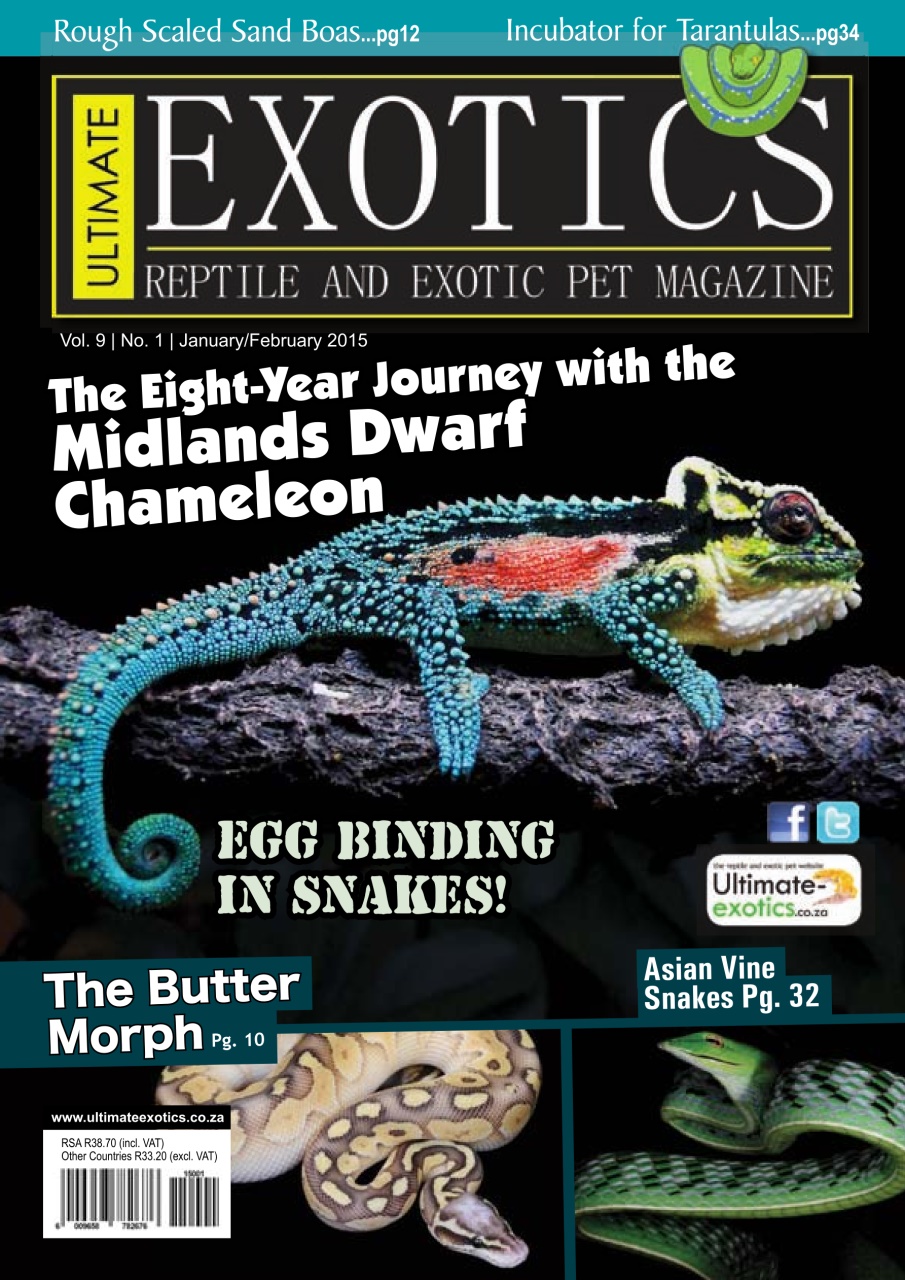 Ultimate Exotics Preview Pages