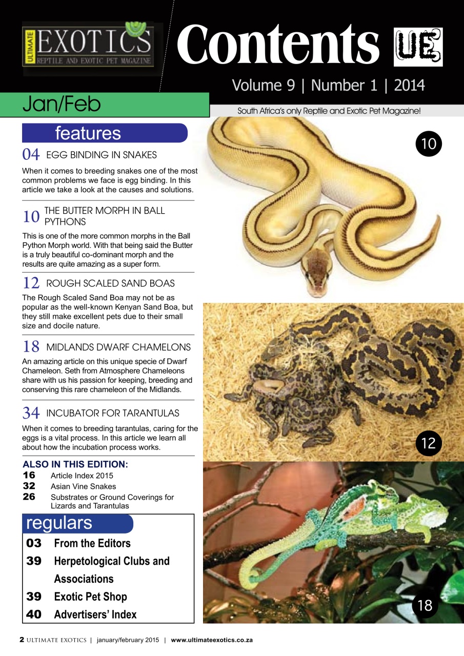 Ultimate Exotics Preview Pages