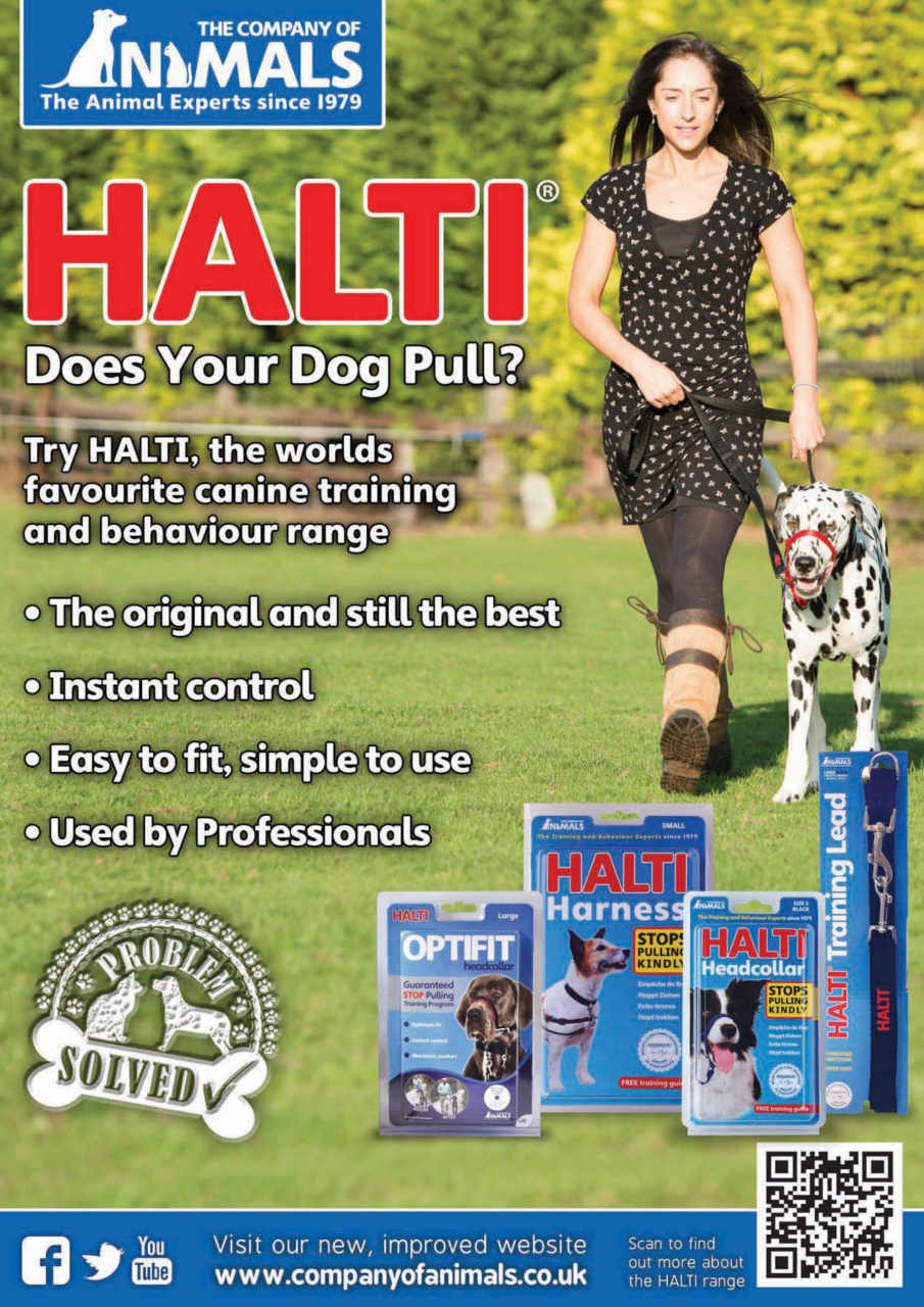 Your Dog Preview Pages