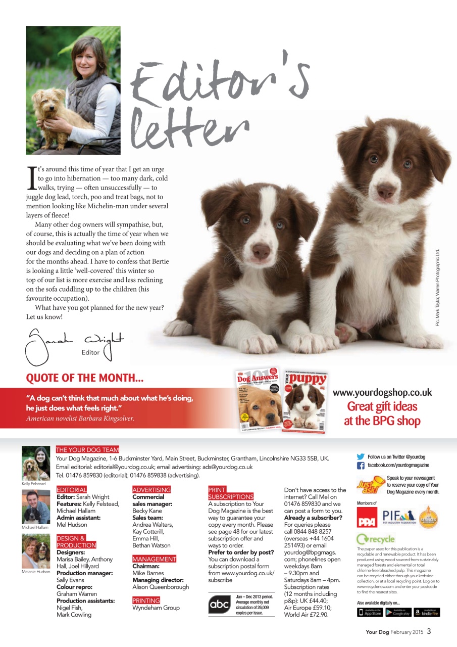 Your Dog Preview Pages