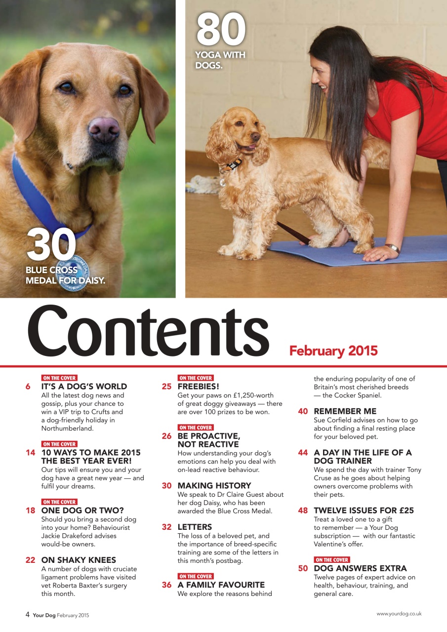 Your Dog Preview Pages