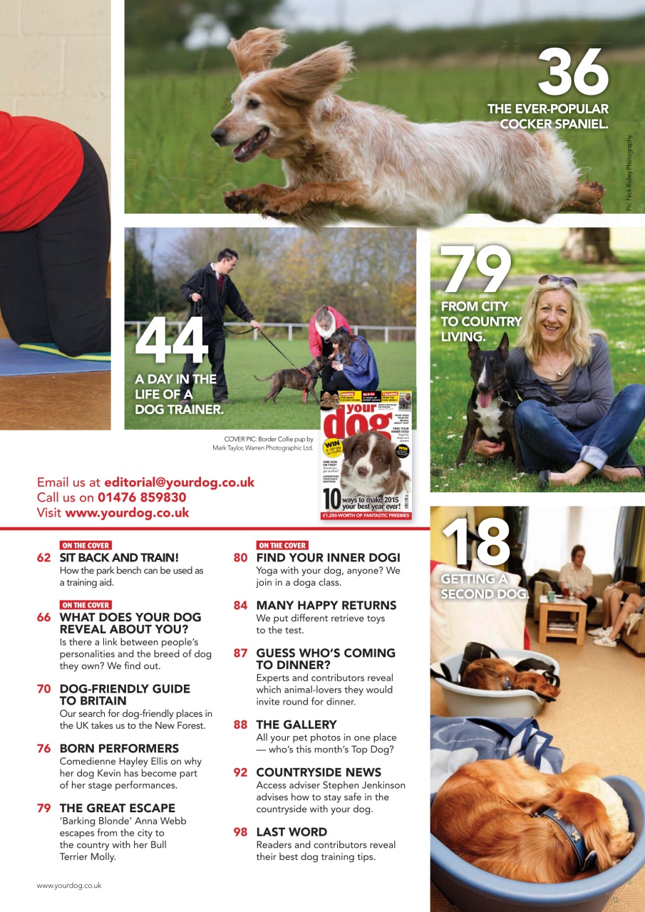 Your Dog Preview Pages