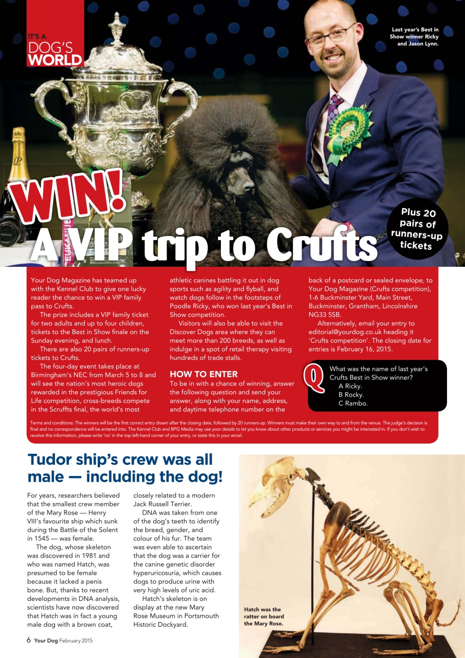 Your Dog Preview Pages