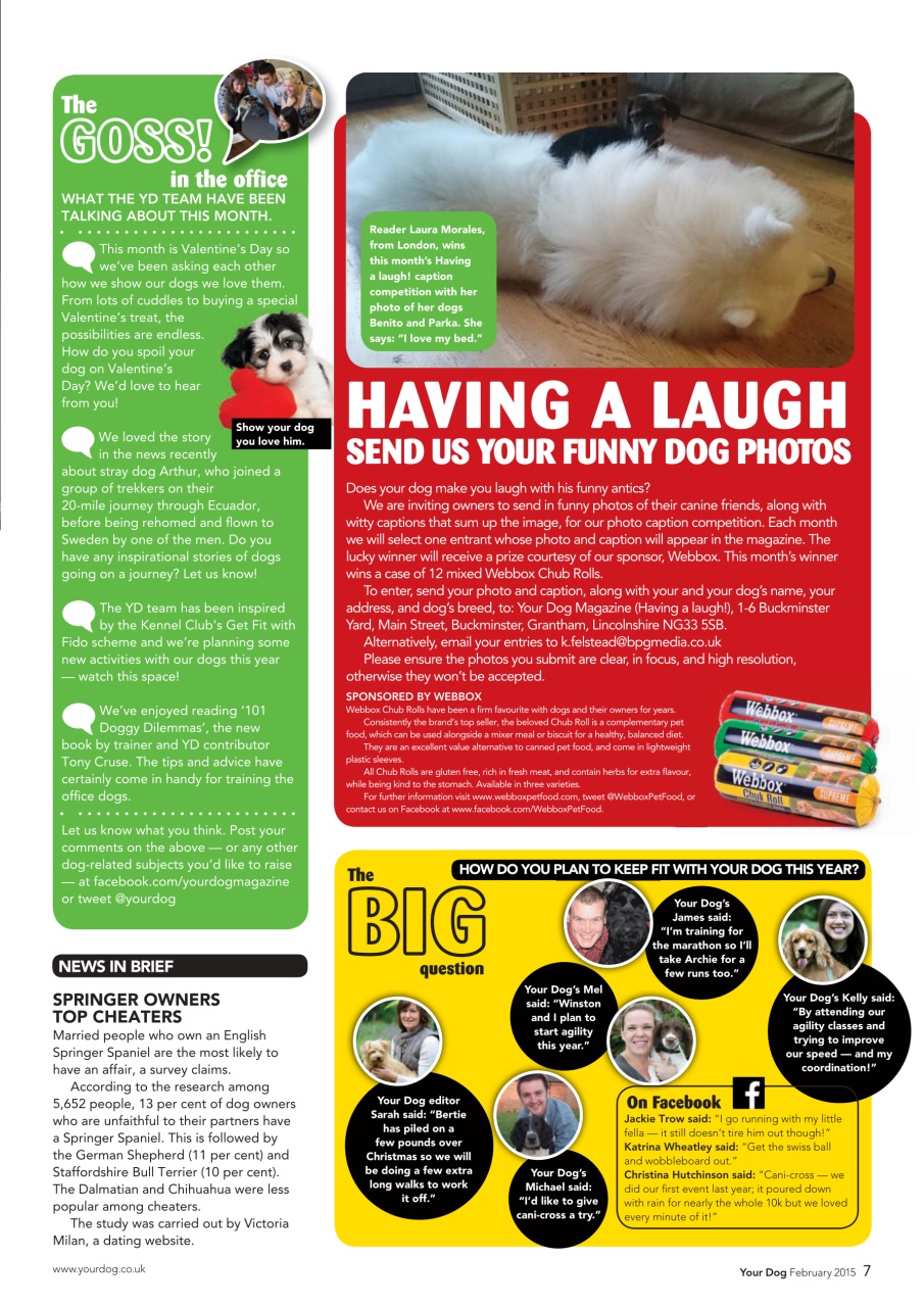 Your Dog Preview Pages