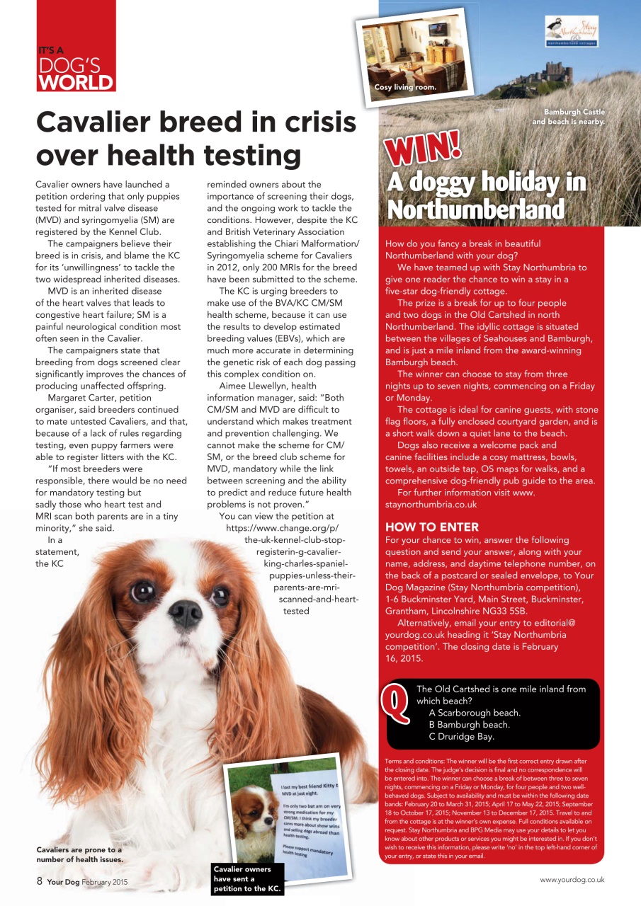 Your Dog Preview Pages