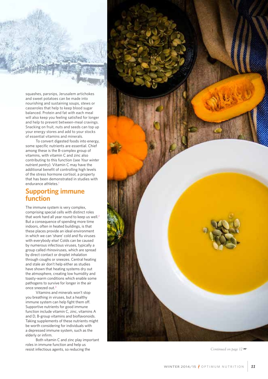 Optimum Nutrition Preview Pages