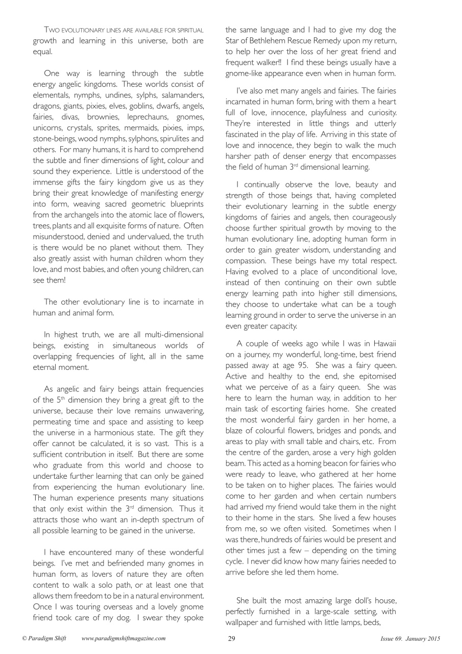 Paradigm Shift Preview Pages