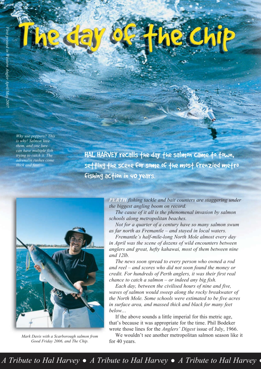 Western Angler Preview Pages