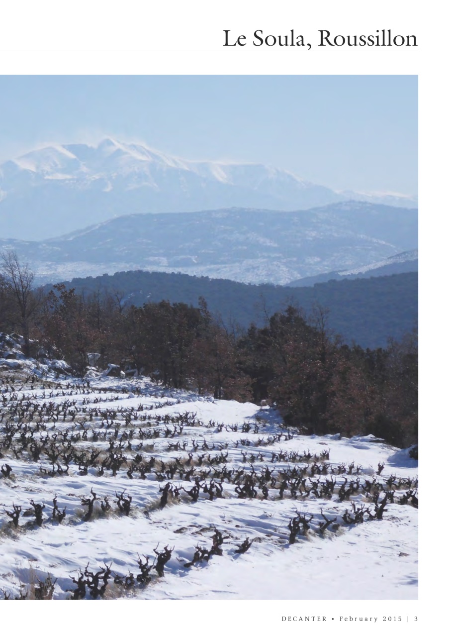 Decanter Preview Pages