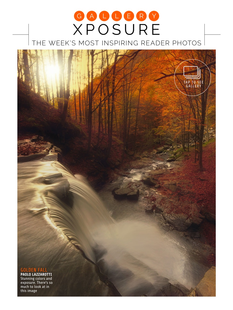 Photography Week Preview Pages