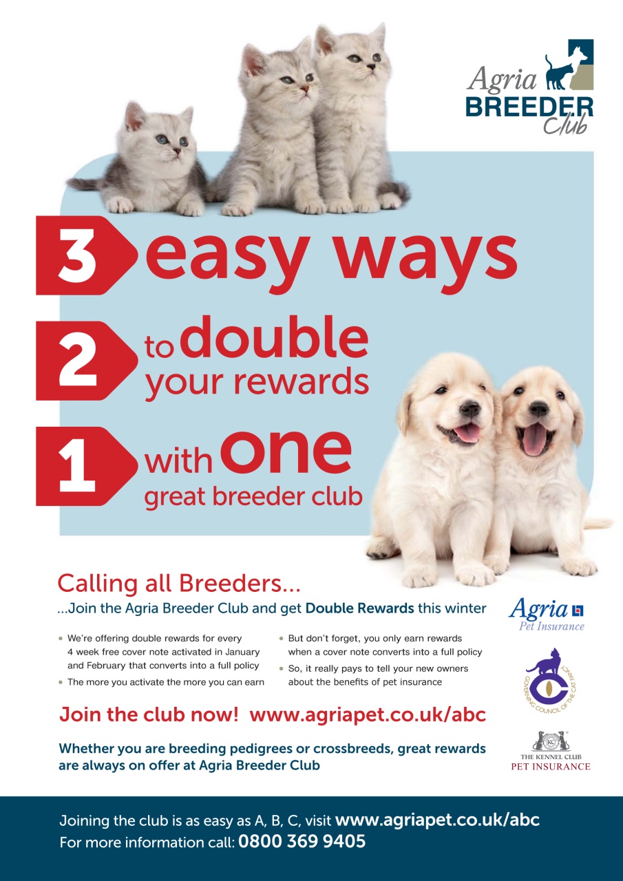Dogs Today Magazine Preview Pages
