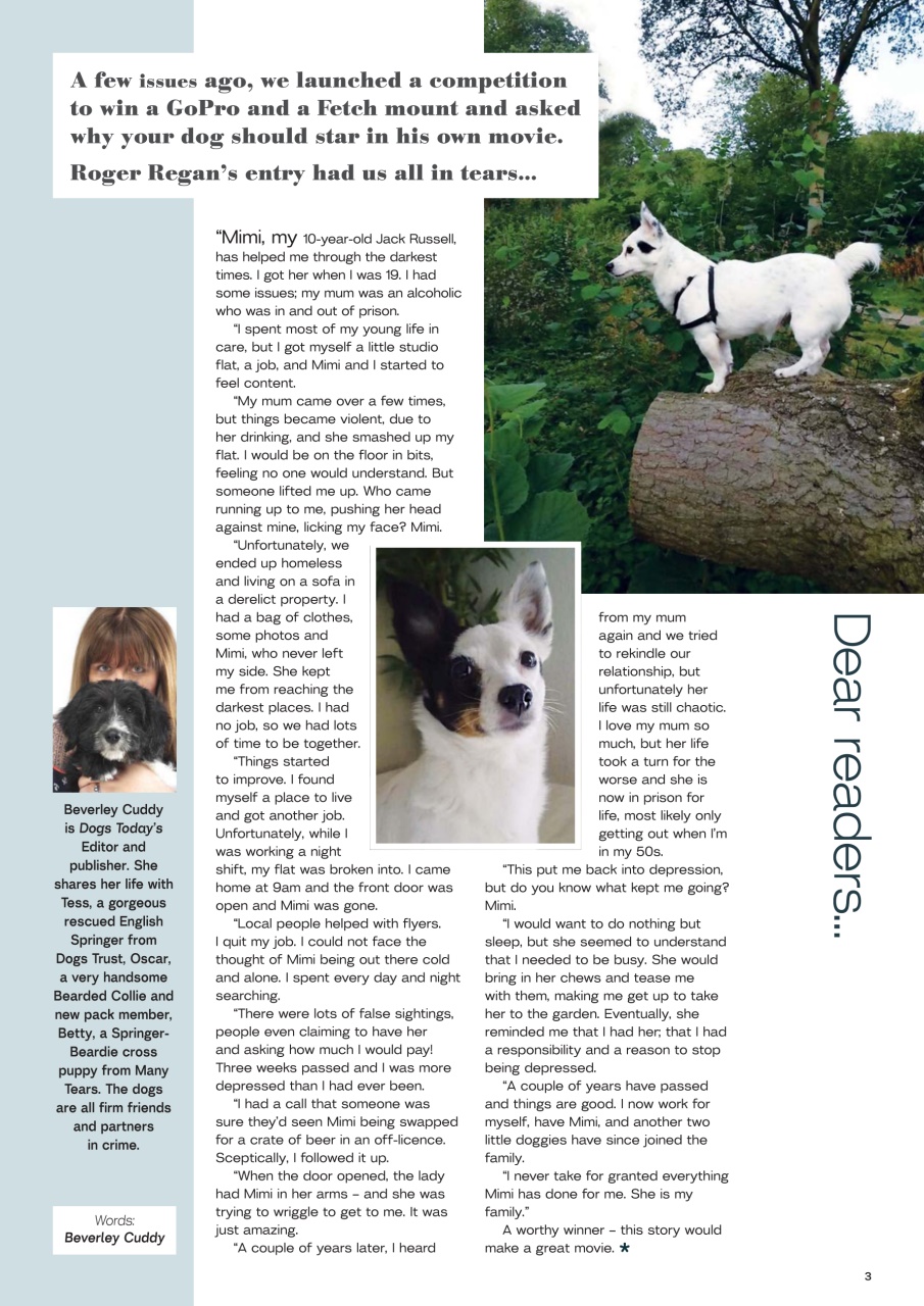 Dogs Today Magazine Preview Pages