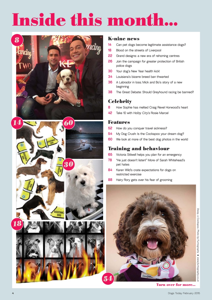 Dogs Today Magazine Preview Pages