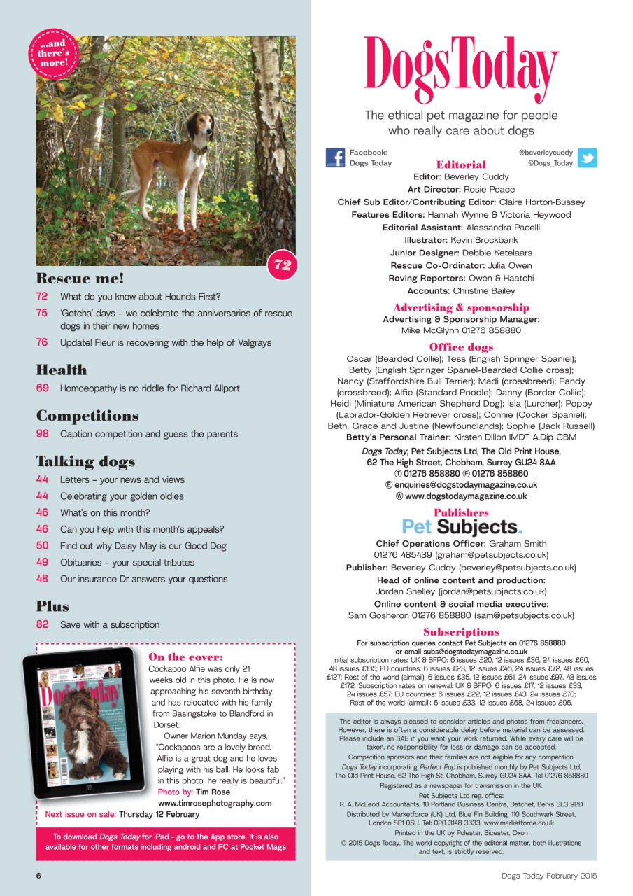 Dogs Today Magazine Preview Pages