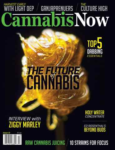 Cannabis Now issue Issue 12