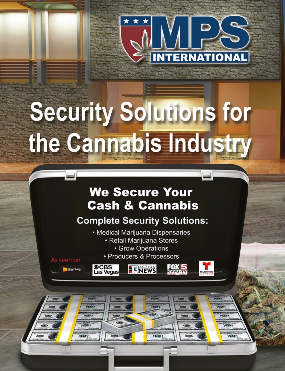 Cannabis Now Preview Pages