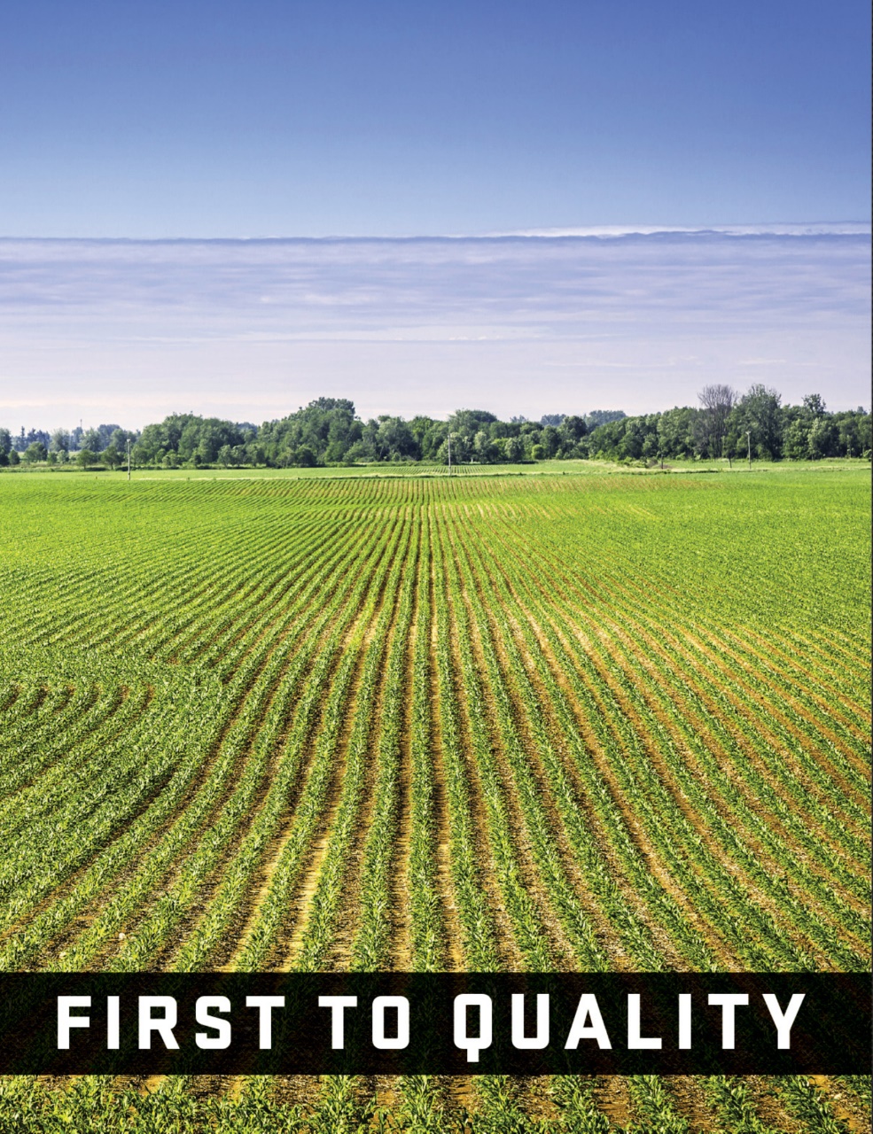 Cannabis Now Preview Pages