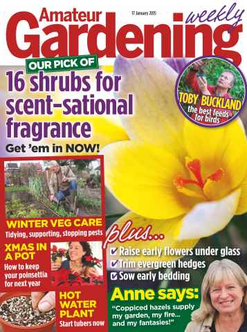 Amateur Gardening issue 17th January 2015