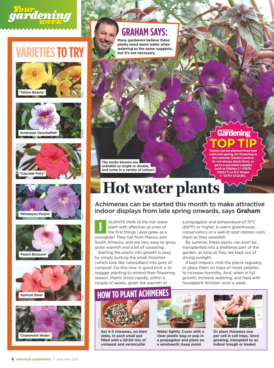 Amateur Gardening Preview Pages