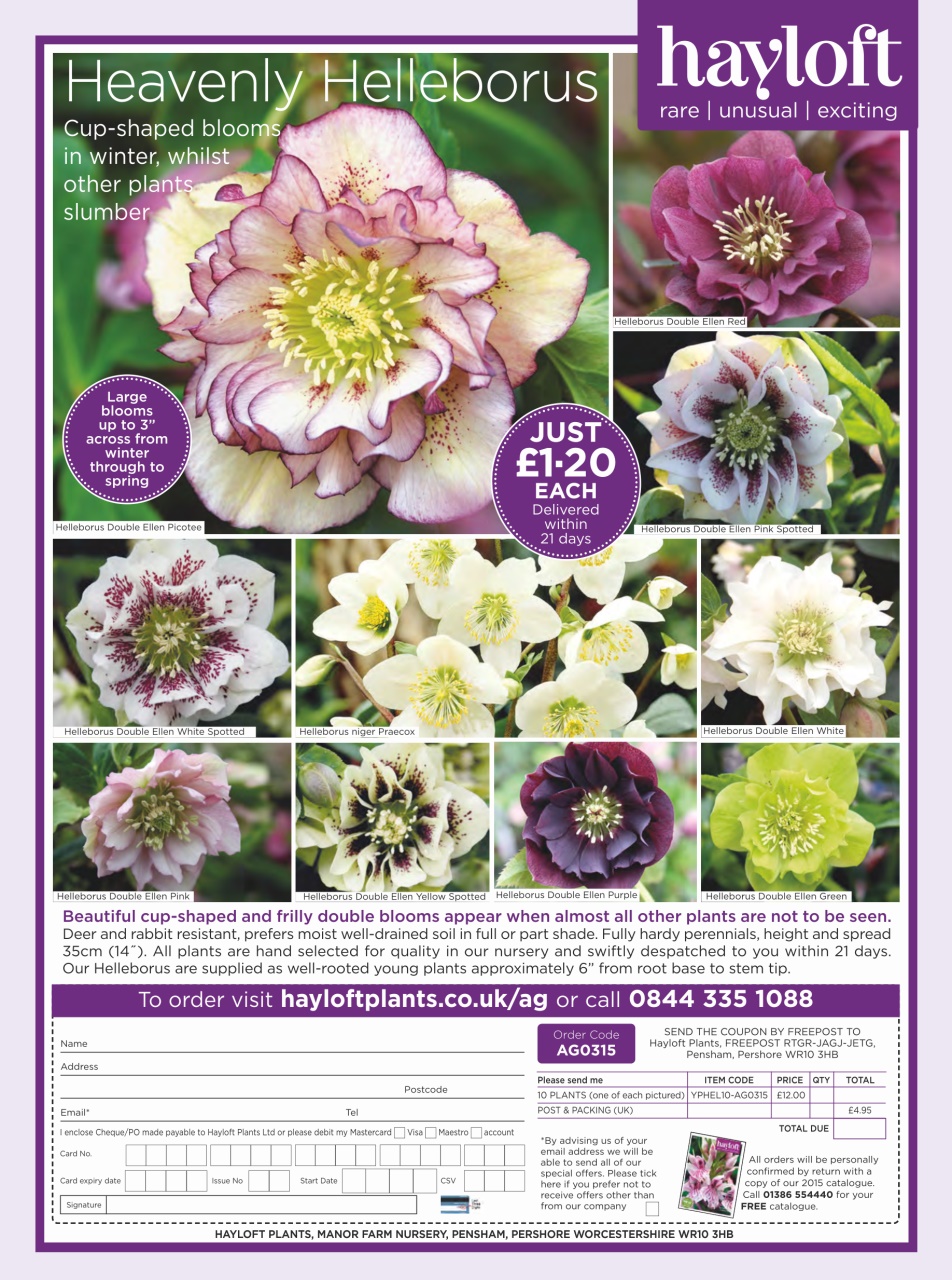 Amateur Gardening Preview Pages