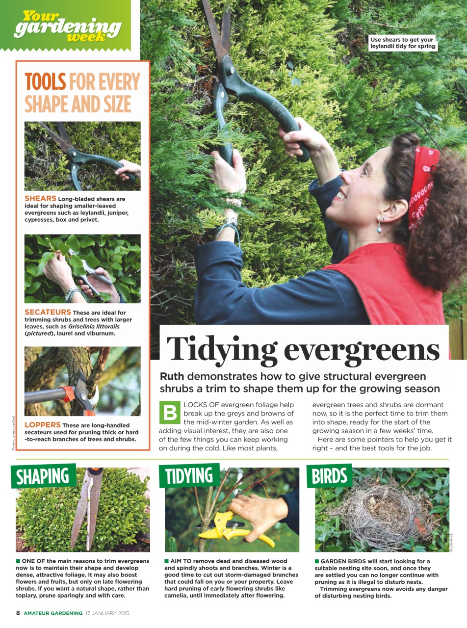 Amateur Gardening Preview Pages