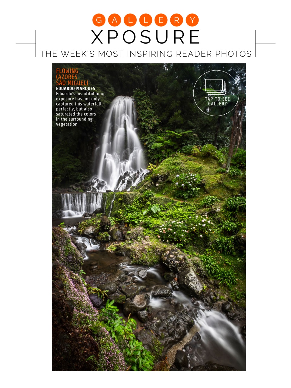 Photography Week Preview Pages