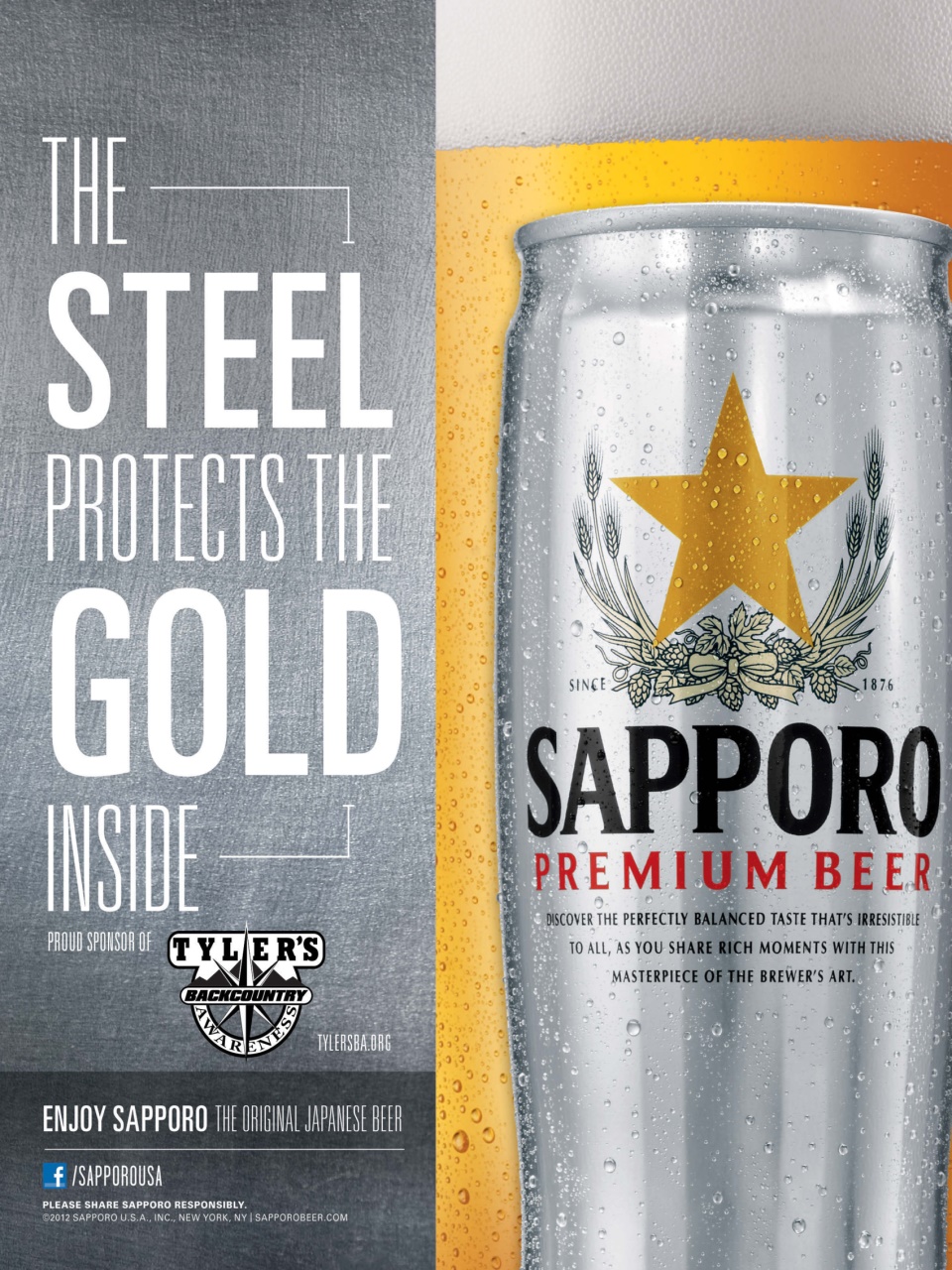 SnowGoer Preview Pages