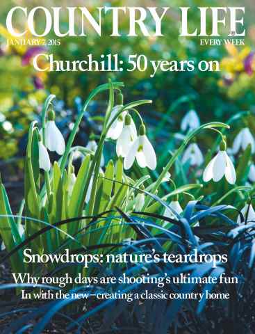 Country Life issue 7th January 2015