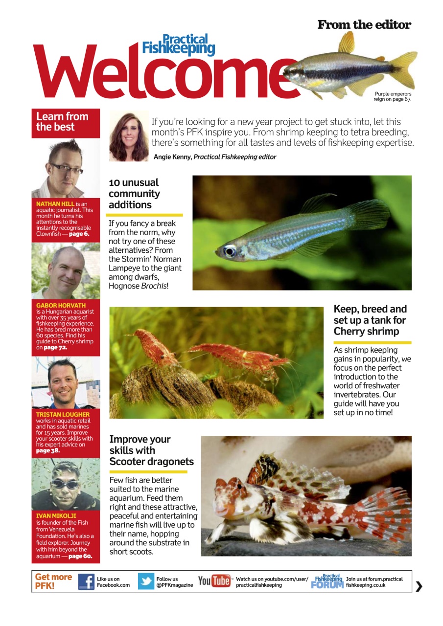 Practical Fishkeeping Preview Pages