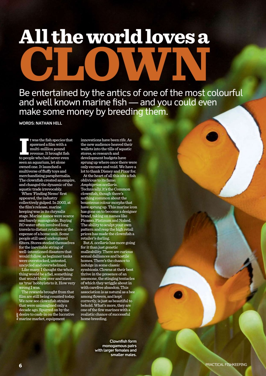 Practical Fishkeeping Preview Pages