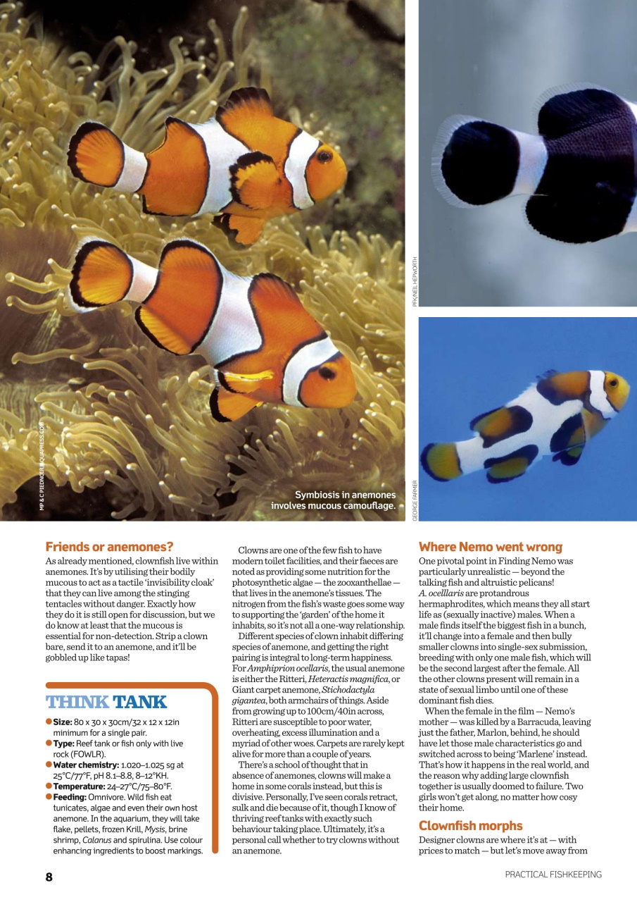 Practical Fishkeeping Preview Pages