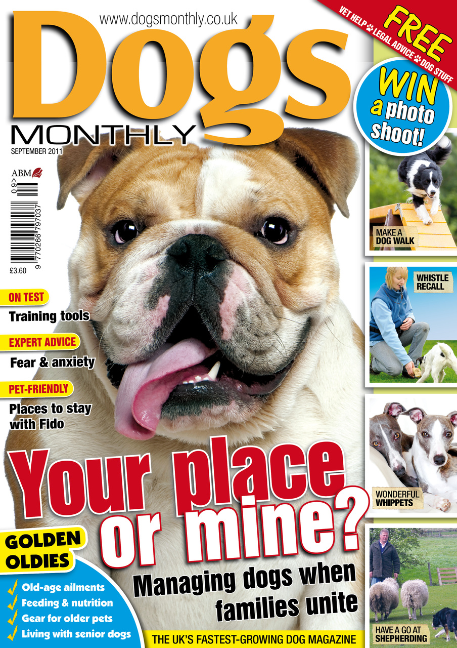 Dogs Monthly Preview Pages