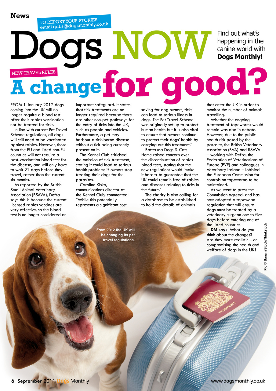 Dogs Monthly Preview Pages