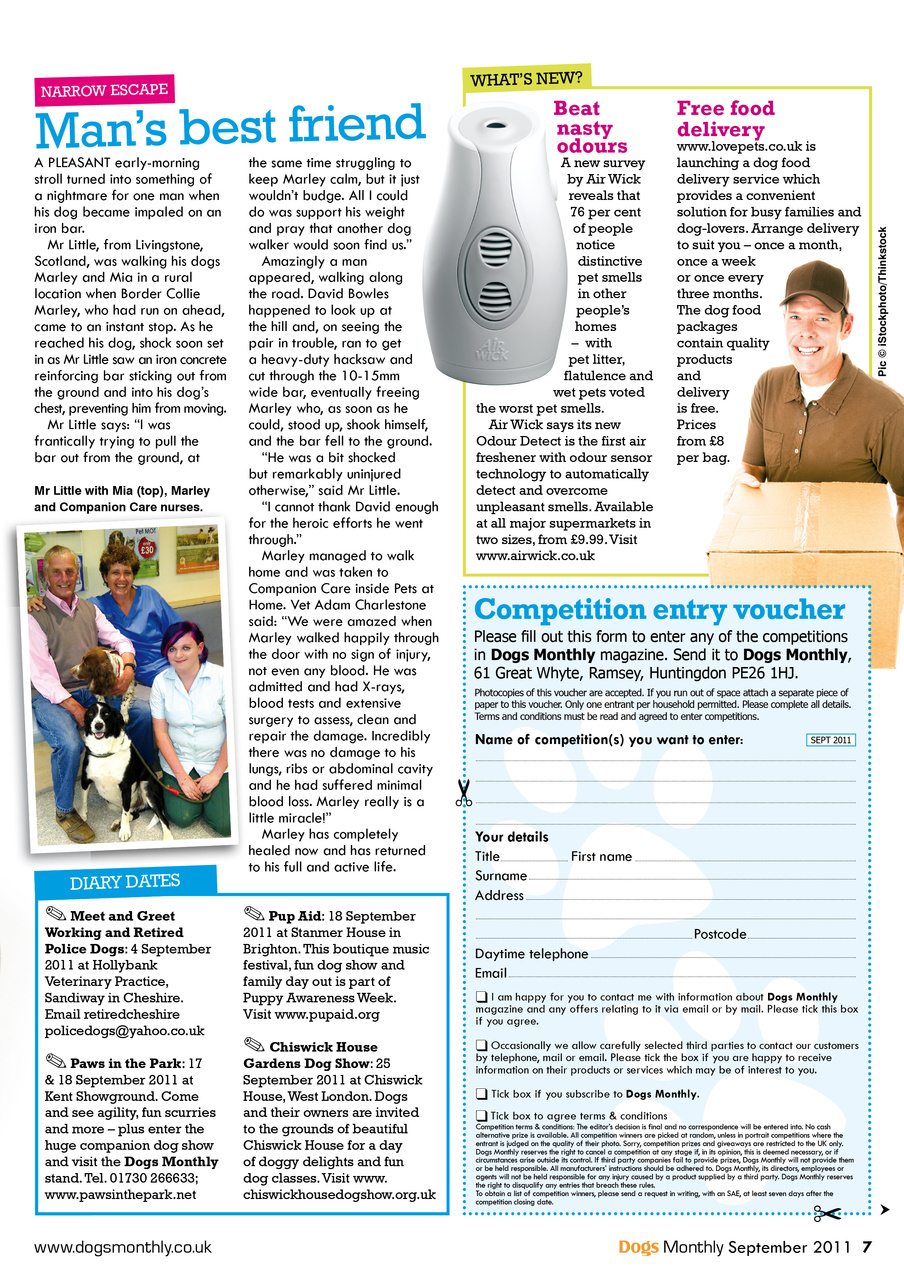 Dogs Monthly Preview Pages