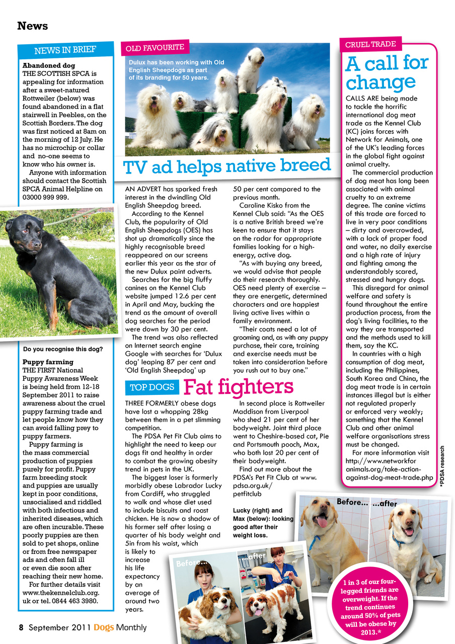 Dogs Monthly Preview Pages