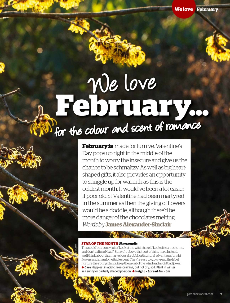 BBC Gardeners’ World Magazine Preview Pages