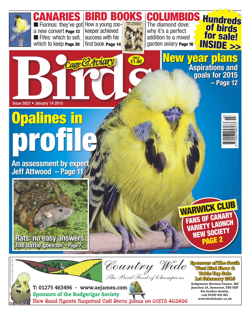 Cage & Aviary Birds Preview Pages