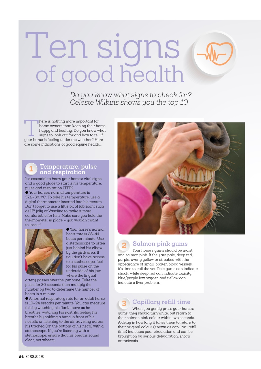 Horse&Rider Magazine - UK equestrian magazine for Horse and Rider Preview Pages