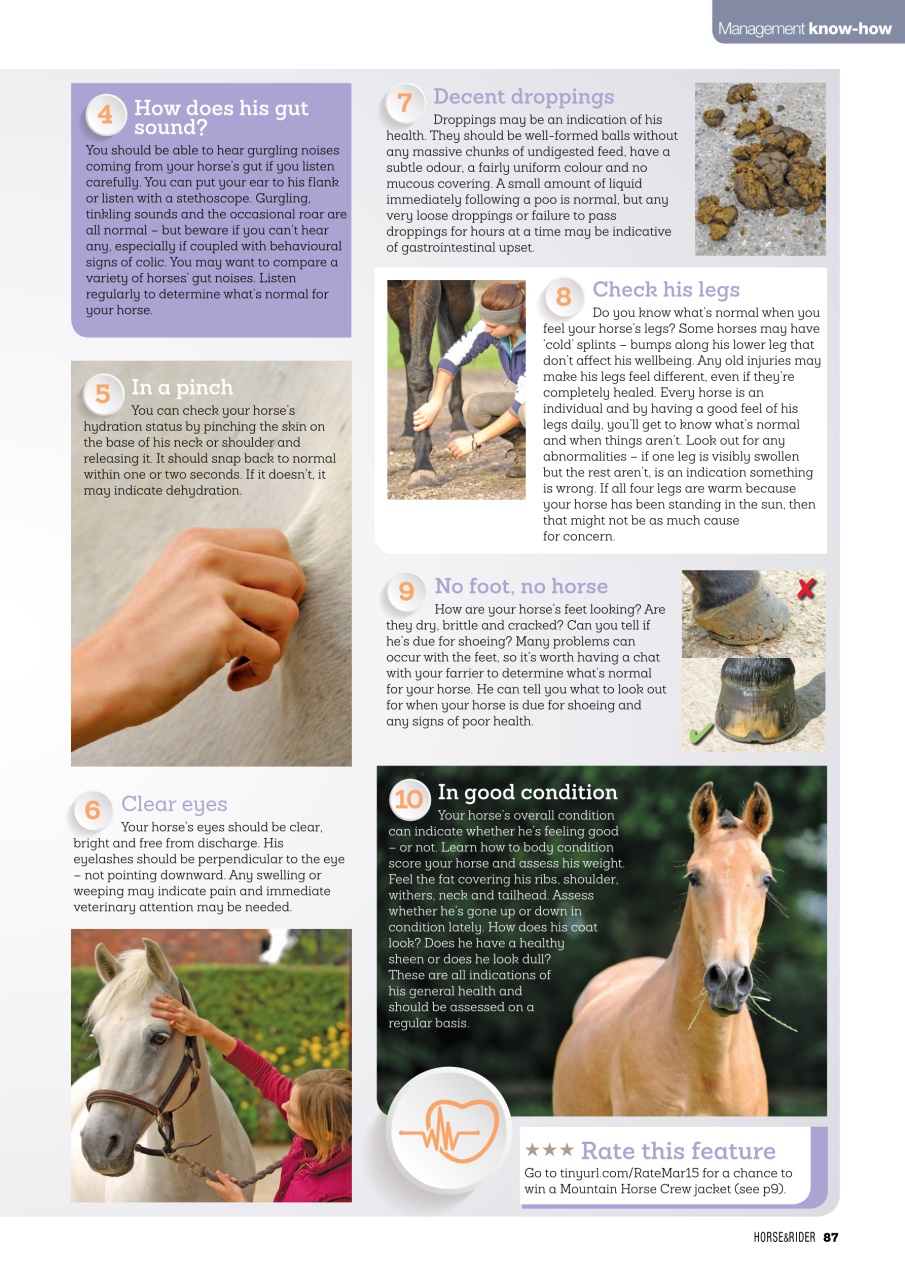 Horse&Rider Magazine - UK equestrian magazine for Horse and Rider Preview Pages