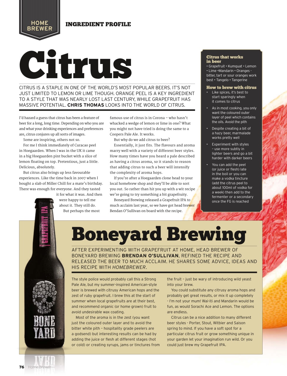 Beer and Brewer Preview Pages