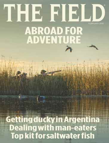 The Field issue February 2015