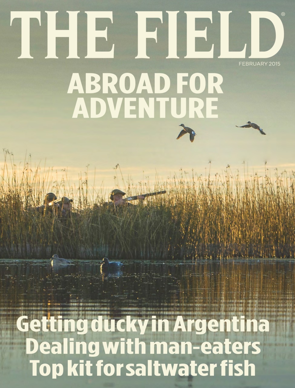 The Field Preview Pages