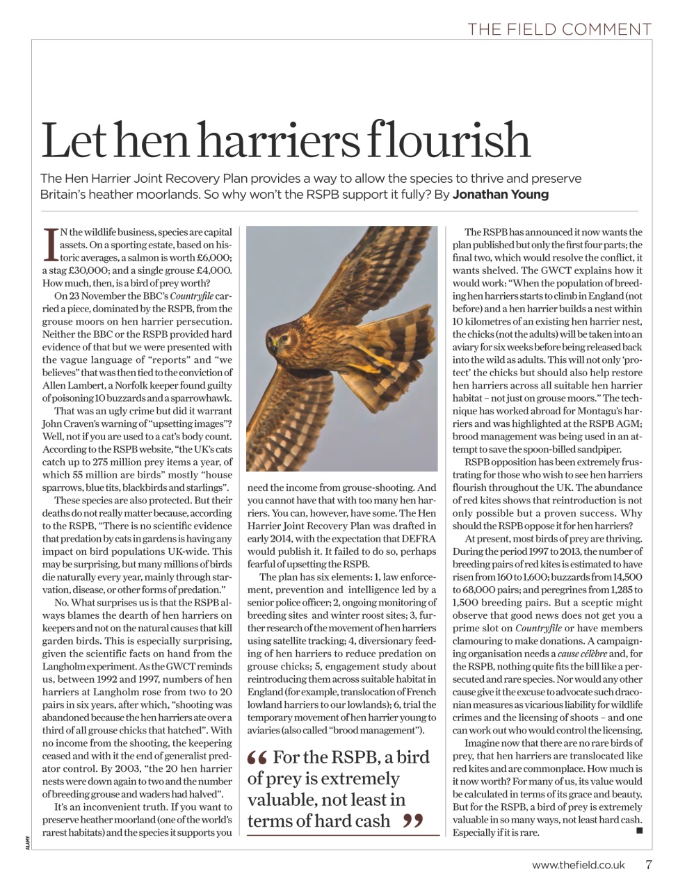 The Field Preview Pages